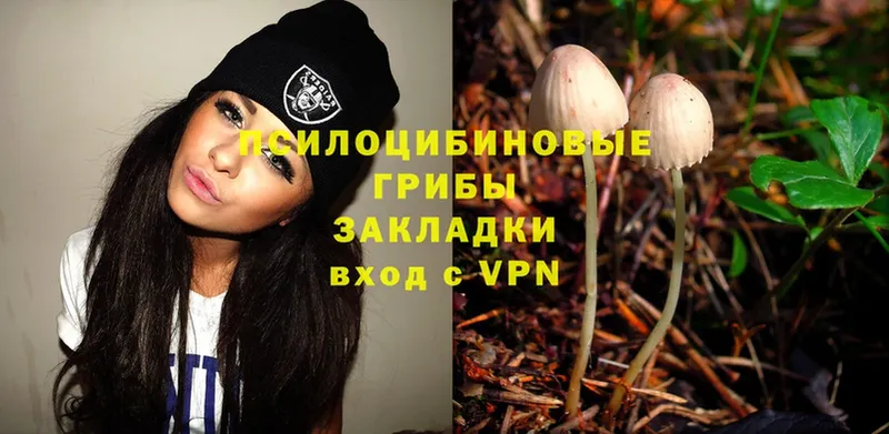 Галлюциногенные грибы Magic Shrooms  что такое наркотик  Володарск 